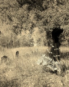 Ode to the Confederate Dead