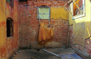 the girls of summer (55)