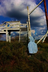 IMG_7025 (533x800)
