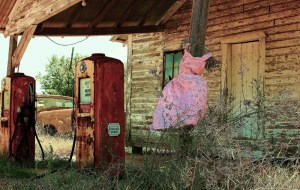 _MG_4202 (2) (800x509)